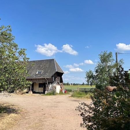 Logis Du Coudray Apartman Boissey-le-Chatel Kültér fotó